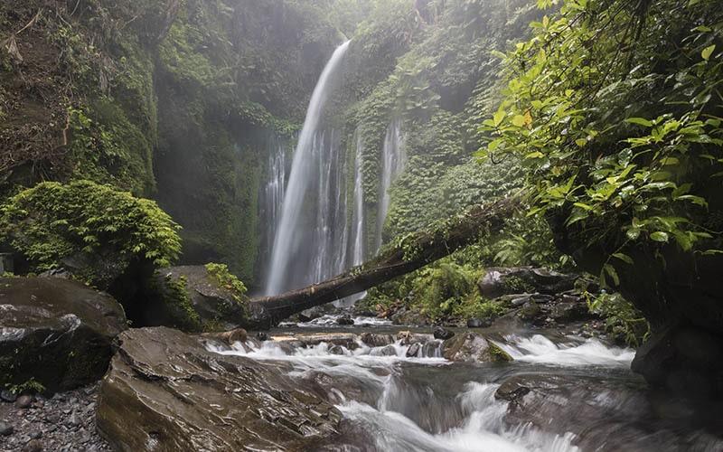 Waterfall in the lush rainforest on the slopes of Mount Rinjani